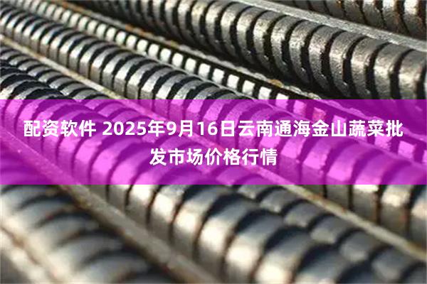 配资软件 2025年9月16日云南通海金山蔬菜批发市场价格行情